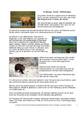 Grizzly-Steckbrief-Seite-3.pdf